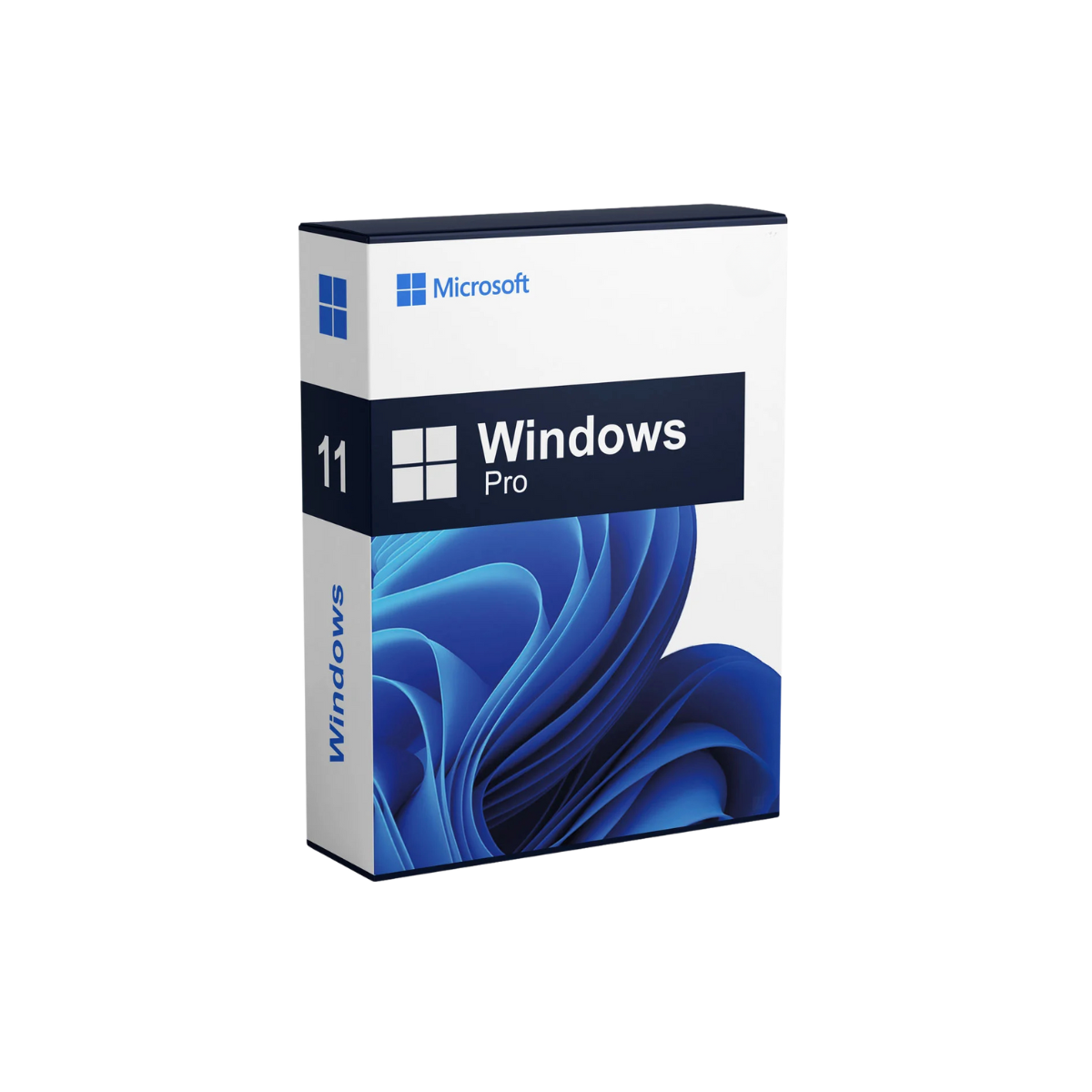 1 x Microsoft Windows 11 PRO Pre-Installed